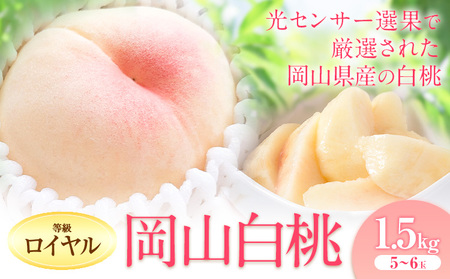 【2025年出荷先行予約】岡山の白桃 等級 ロイヤル 約1.5kg(5～6玉) 清水白桃 おかやま夢白桃 白鳳 白麗 なつおとめ 晴れの国 岡山農業協同組合 鴨方支店 《2025年7月上旬-8月下旬頃出荷》岡山県 浅口市 岡山県産 白桃 桃 もも 果物 フルーツ ギフト ご贈答 送料無料【配送不可地域あり】（北海道・沖縄・離島）｜桃もも白桃