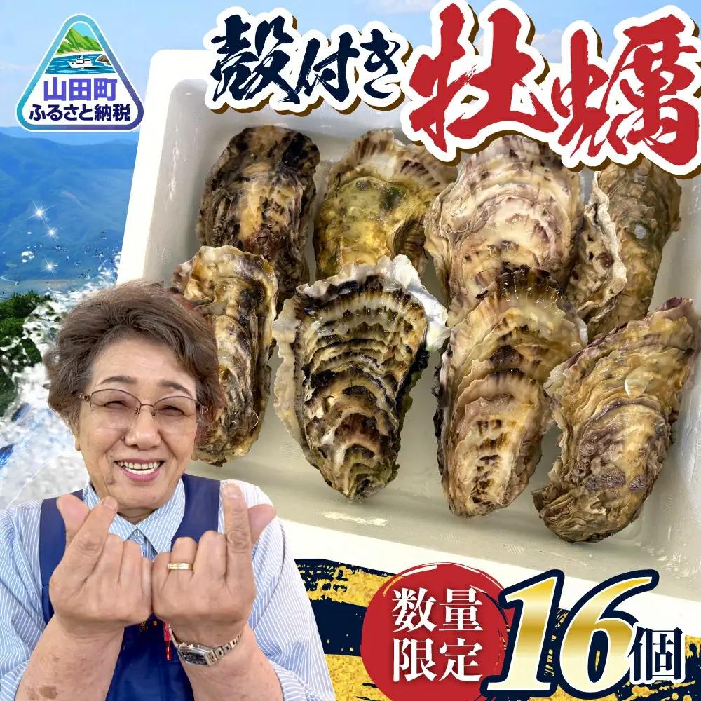 三陸山田の牡蠣 16個 殻付き牡蠣 かき