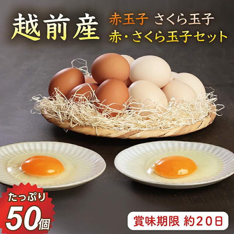 【ふるさと納税】お届け日指定可　越前産 赤玉子 さくら玉子 赤玉子とさくら玉子セット 50個（45個＋割れ補償5個入り）定期便 3回 6回 12回／送料無料 福井県 越前市 卵 たまご タマゴ (18209)