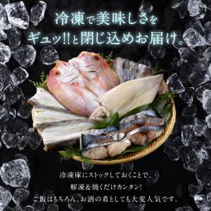 【旨味凝縮】玄界灘の贅沢干物6種セット
