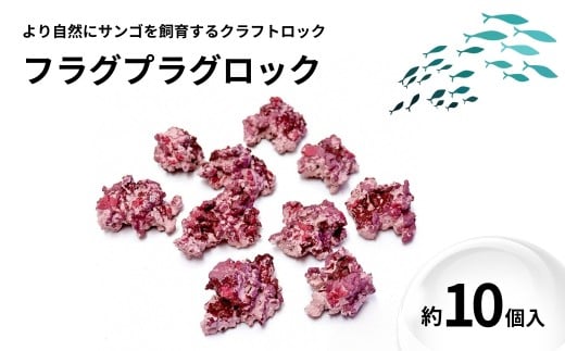 【ハンドメイド】フラグプラグロック 約10個入り サンゴ 海水魚飼育 人工ライブロック 新潟県 出雲崎町