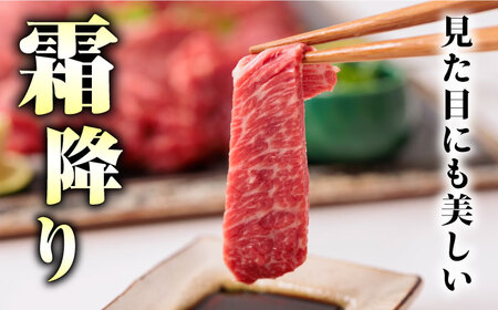 12回定期便サシが決めてトロ〜り馬刺しセット計約500g醤油付き 霜降り馬刺しZBK018