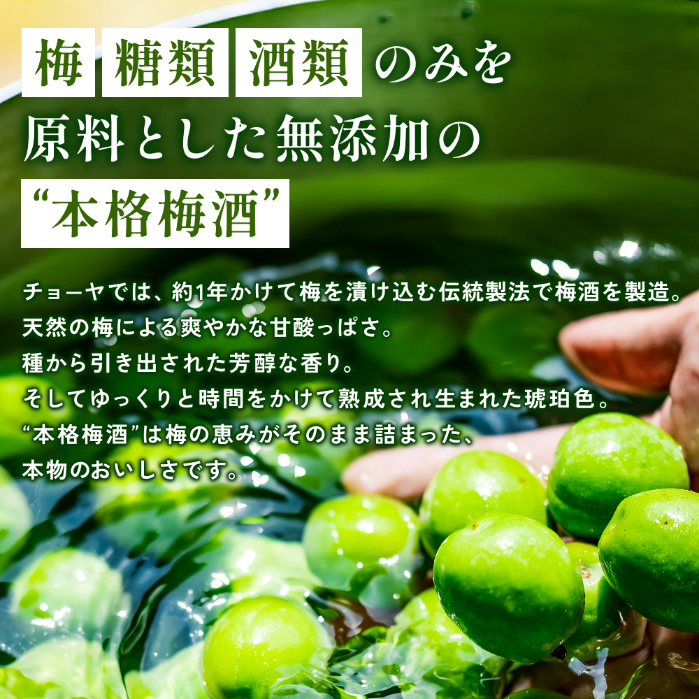 チョーヤ さらりとした梅酒 1.8Lパック×6本(1ケース) / 梅 ウメ お酒 リキュール 酒 紀州 和歌山  CHOYA 梅酒 梅酒 梅酒 梅酒  国産【kis103A】