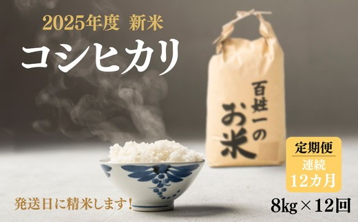 256-1001　【12回定期便】石井町産コシヒカリ8kg×連続12カ月 ※離島への配送不可