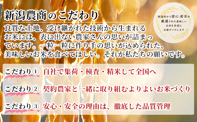 【先行予約】R8年産新潟産コシヒカリ精米5kg×2　全6回 お米 