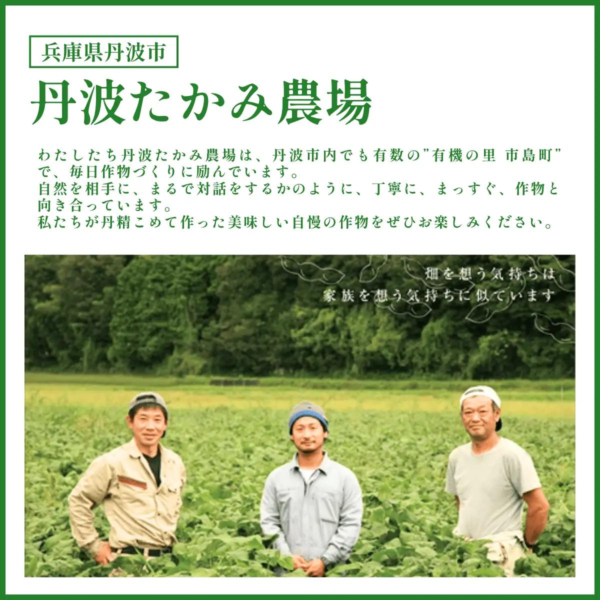 有機JAS 丹波黒豆枝豆 1.5kg 500g×3袋 〈丹波市産〉 黒枝豆 有機野菜