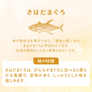 食塩不使用 シーチキン Lフレーク70g (a16-122)
