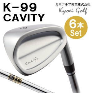 460BA02N.K99 CAVITY（6本セット）DGS200