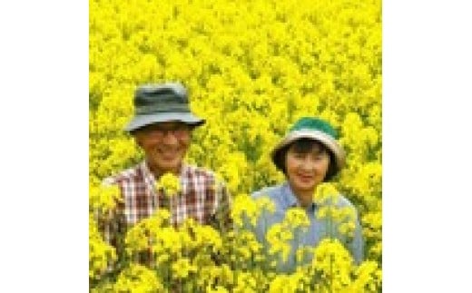 北海道上ノ国町産 無添加・無調整 生一番搾り菜の花油（100g×3本）