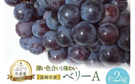 【2025年発送】 フルーツランド平賀のベリーA 約2kg [フルーツランド平賀 山梨県 韮崎市 20742838] ぶどう ブドウ 葡萄 マスカット 種なし 果物 フルーツ 2キロ 山梨県産 産地直送 期間限定 季節限定 冷蔵