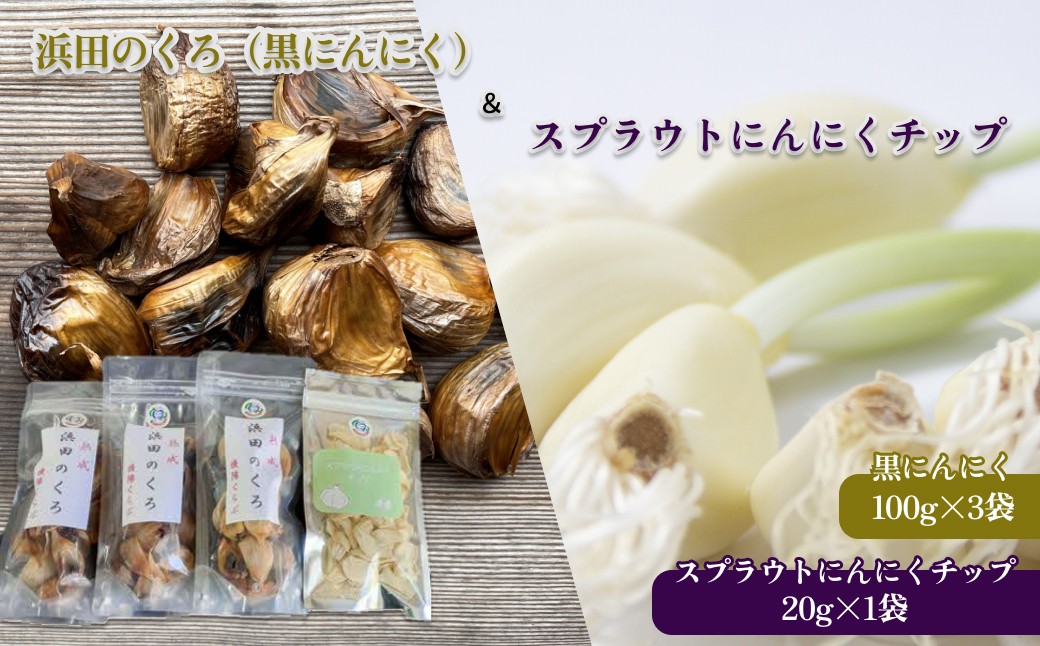 
                  山陰 浜田のくろ＆スプラウトにんにくチップ にんにく 黒にんにく バラ スプラウトにんにく チップ ガーリック 健康 料理 免疫 【212_0001】
                