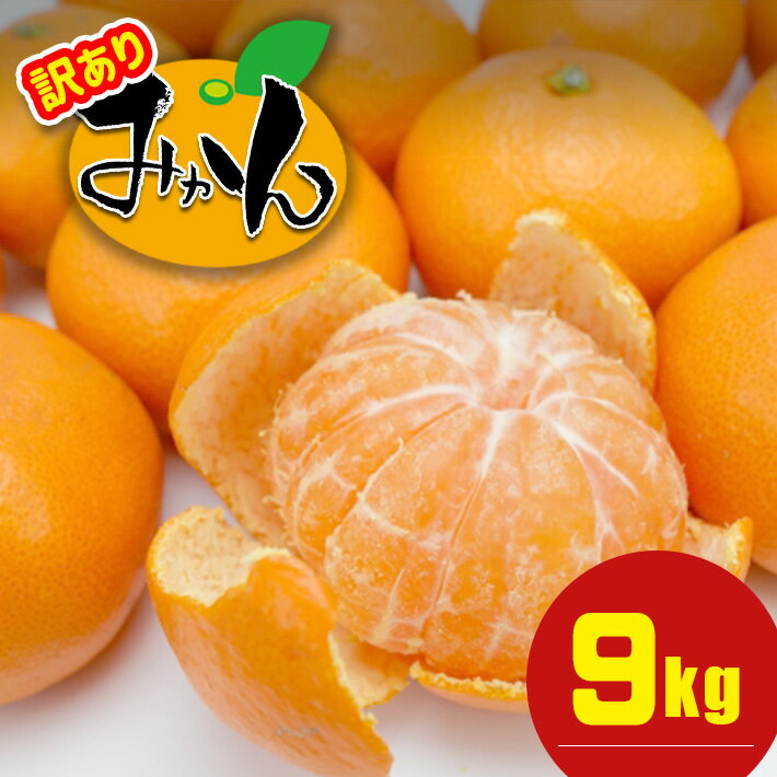 【ふるさと納税】 訳あり 熊本県産 温州みかん 約 9kg +約 0.5kg (補償分） | 果物 くだもの フルーツ 柑橘 柑橘類 みかん 温州 家庭用 9キロ 大量 みかん 玉名 熊本 送料無料
