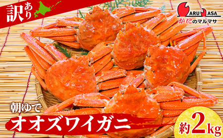 北海道産【 朝ゆで 】訳ありオオズワイガニ 2.0kg ＜かにのマルマサ＞詰道産品 オオズワイ ズワイガニ ずわい蟹 カニ 蟹 規格外品 不揃い 訳アリ 訳有り