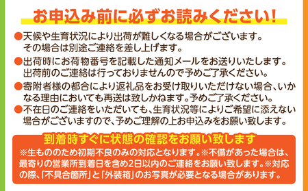 《2025年発送先行予約》【期間・数量限定】完熟マンゴー 3Lサイズ 2玉 完熟 甘味 南国