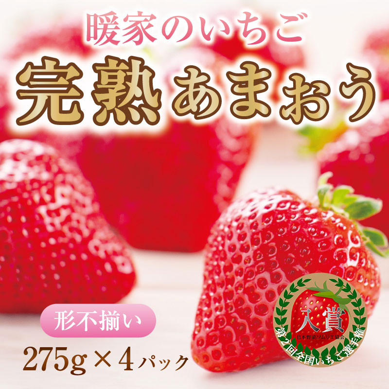 
                  【ふるさと納税】暖家のいちご 完熟あまおう 4パック(形不揃い) A4 [a6407] 社会福祉法人猪位金福祉会 暖家の丘 ※配送不可：北海道・沖縄・離島【返礼品】添田町 ふるさと納税
                