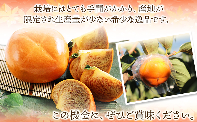 希少紀の川柿約3.5kg（種無し）【2026年先行予約】秀選品(玉数おまかせ)厳選館《2026年11月上旬-11月中旬頃出荷》柿カキジューシーフルーツ---wsh_gsk167_11j11c_25_1