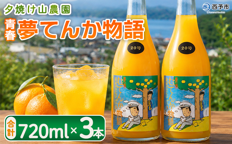 ＜青春 夢てんか物語 合計3本＞『1か月以内に順次出荷予定』 ジュース みかんジュース 温州みかん うんしゅうみかん 柑橘 果物 みかん 蜜柑 ミカン 詰め合わせ 詰合せ 夕焼け山農園 特産品 愛媛県