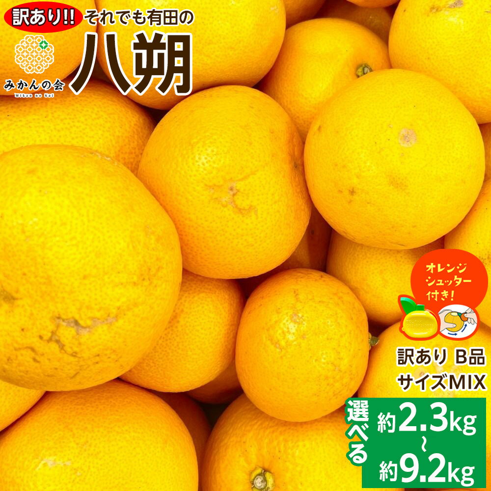 【ふるさと納税】【選べる内容量　箱込2.5kg (内容量約2.3kg)～箱込10kg (内容量約9.2kg)】八朔 訳あり それでも 有田の八朔 (はっさく) サイズミックス B品 | 人気店 八朔 柑橘 サイズミックス わけあり 人気 おすすめ フルーツ 果物 甘味 柑橘類 旬 家庭用 ふるさと納税