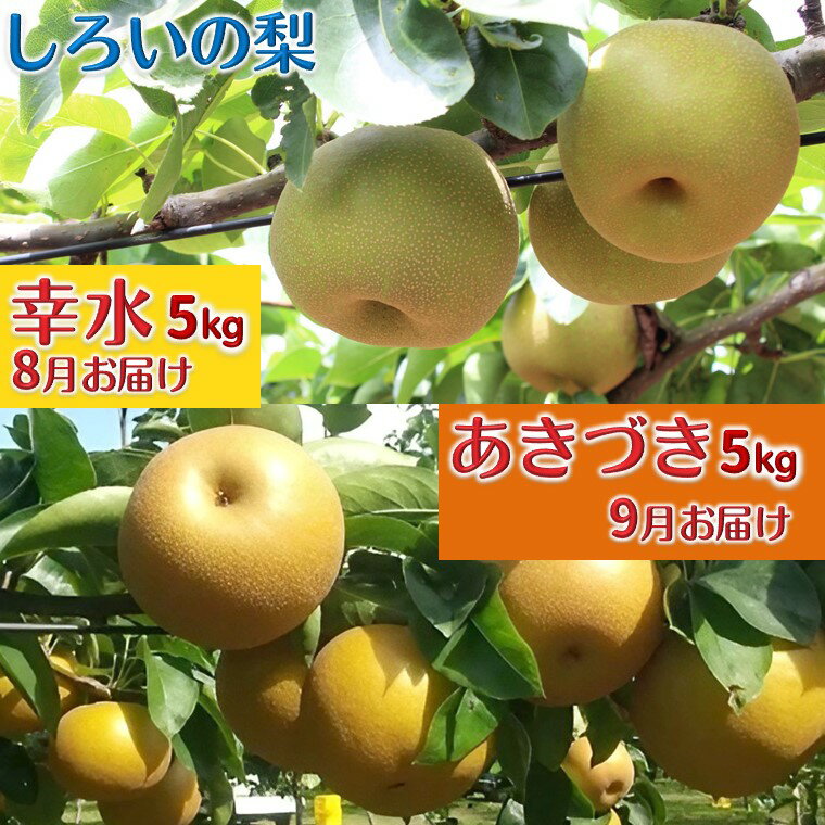 【ふるさと納税】【今夏秋収穫分】梨2品種セット 幸水 あきづき 各5kg 予約受付 しろいの梨 ジューシー 甘い 美味しい おすすめ 果汁たっぷり 甘い梨 フルーツ 果物 名産 特産品 ジャム コンポート ジュレ ジュース 千葉県 白井市
