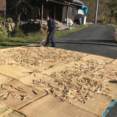 ふるさと納税 恵那市 山ごぼう味噌漬　600g |  | 01