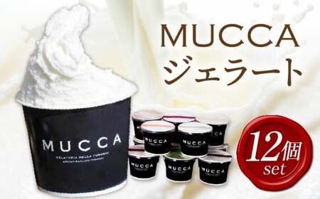 MUCCAジェラート　12個セット_mk024-001