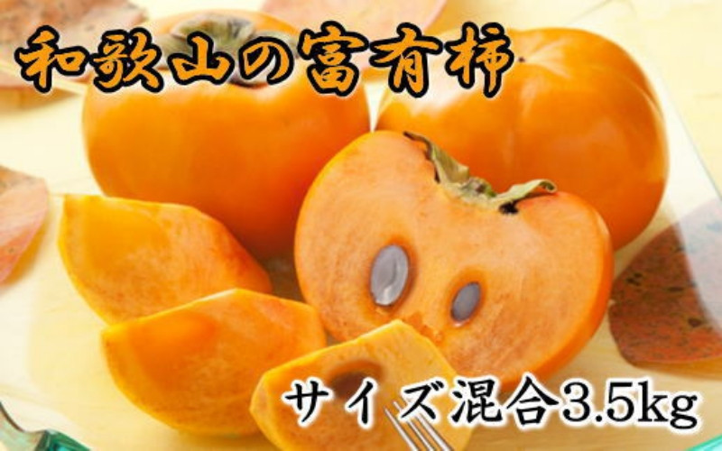 
                  【2026年秋・発送分！】[甘柿の王様]和歌山産富有柿約3.5kgサイズ混合★2026年10月下旬頃より順次発送【tec980A】
                