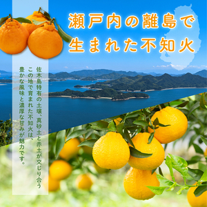 【先行受付】【訳あり】瀬戸内 島の不知火 約5kg 白鷺農園《2025年2月下旬-4月上旬頃出荷》 デコポン と同品種  旬 柑橘 フルーツ 果物 しらぬい デコポン わけあり 規格外 不知火 164