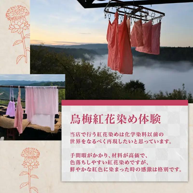 烏梅紅花染め体験 生地染めコース 70-003