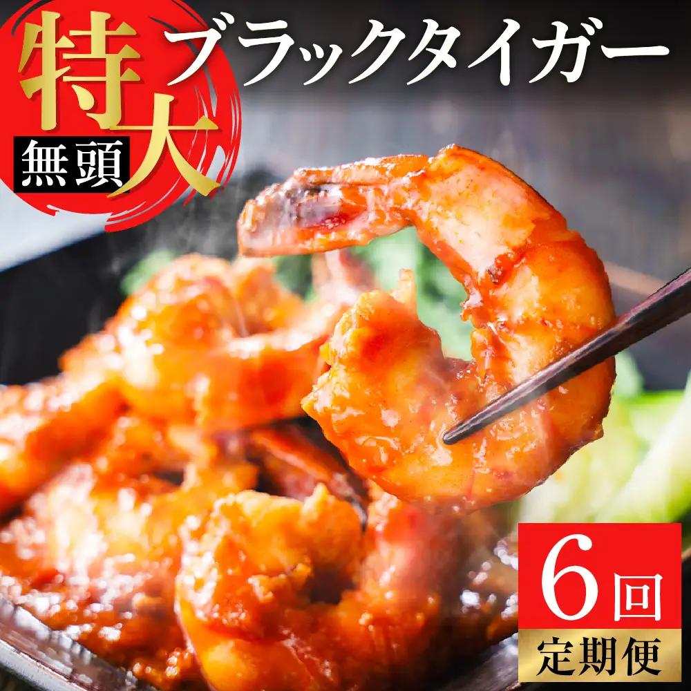【6回定期便】特大 ブラックタイガー 無頭えび 570g前後（15尾）×6回 ｜海老 えび エビ ブラックタイガー 海鮮 魚介 殻付き 冷凍 大阪府 阪南市