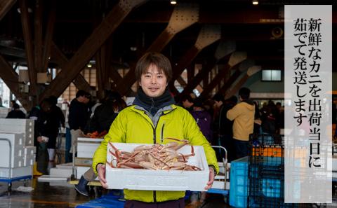 茹で越前ガニ【期間限定】食通もうなる本場の味をぜひ、ご堪能ください。越前ガニ 約900g＋セイコガニ3杯 越前がに 越前かに 越前カニ カニ ボイルガニ