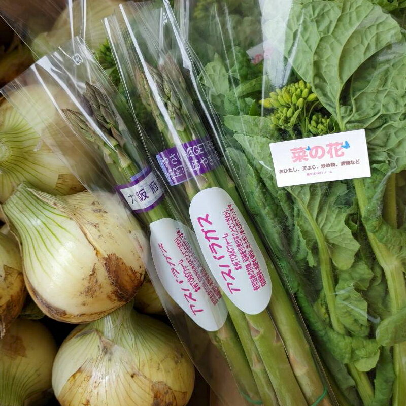 【ふるさと納税】【先行予約】 春の野菜セット 泉州TONOファーム