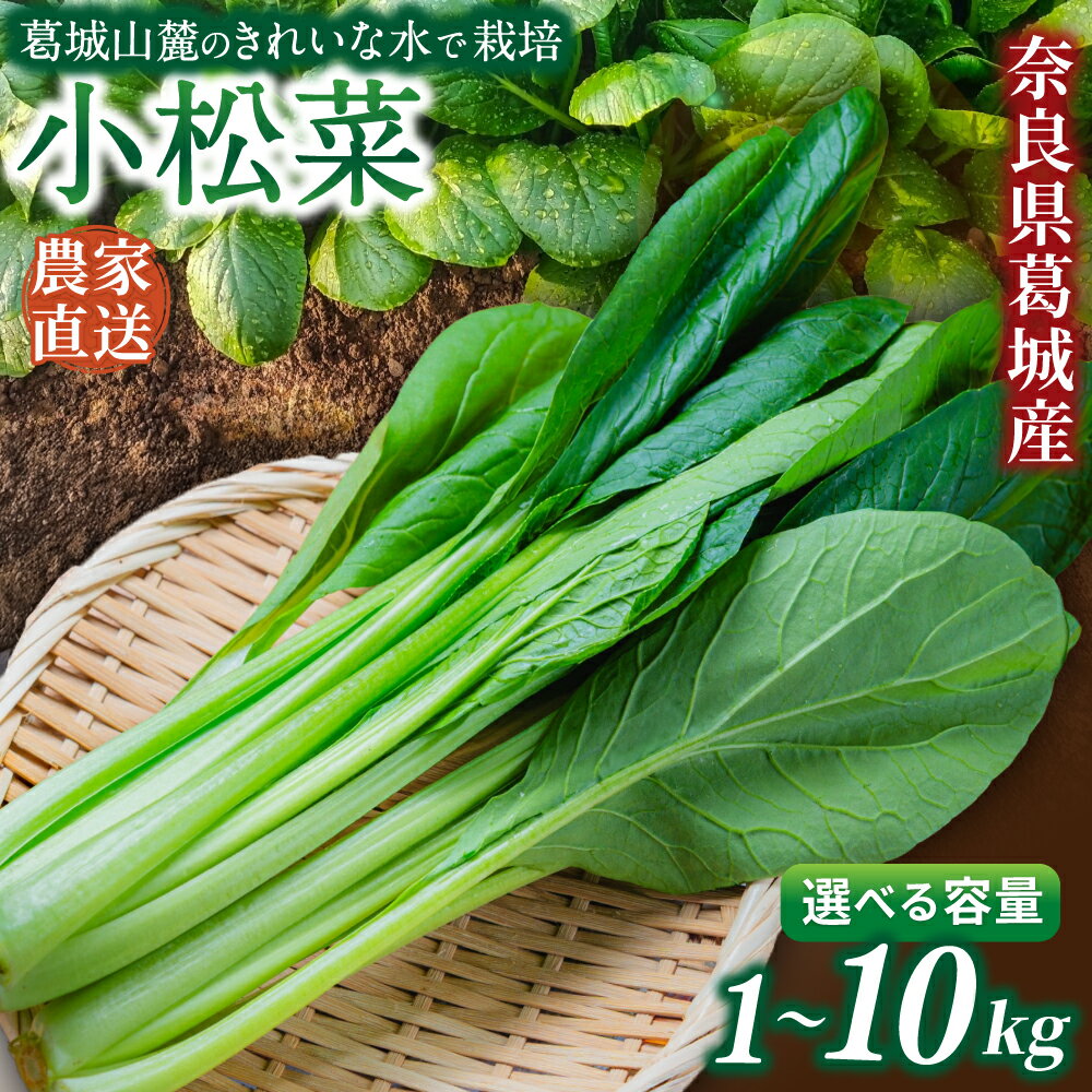 【ふるさと納税】奈良県産 小松菜 約1kg 3kg 5kg 10kg 【順次発送】／ スマイル葛城農業 野菜 小松菜 農家直送 産直 新鮮 旬 サラダ 名産 健康 美容 栄養 奈良県 葛城市