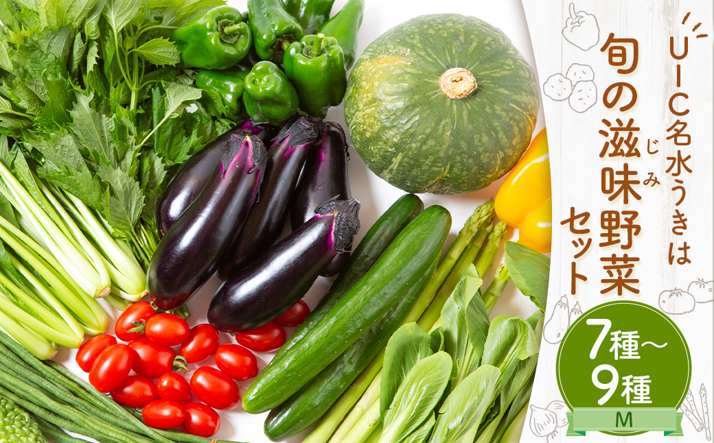 UIC 名水うきは 旬の滋味（じみ）野菜セットM