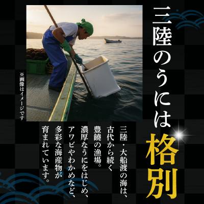 ふるさと納税 大船渡市 三陸産 甘口塩うに70g[morihiro003_1] |  | 01