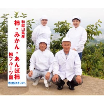 【先行受付】柳フルーツ園 干し柿セット 約7kg