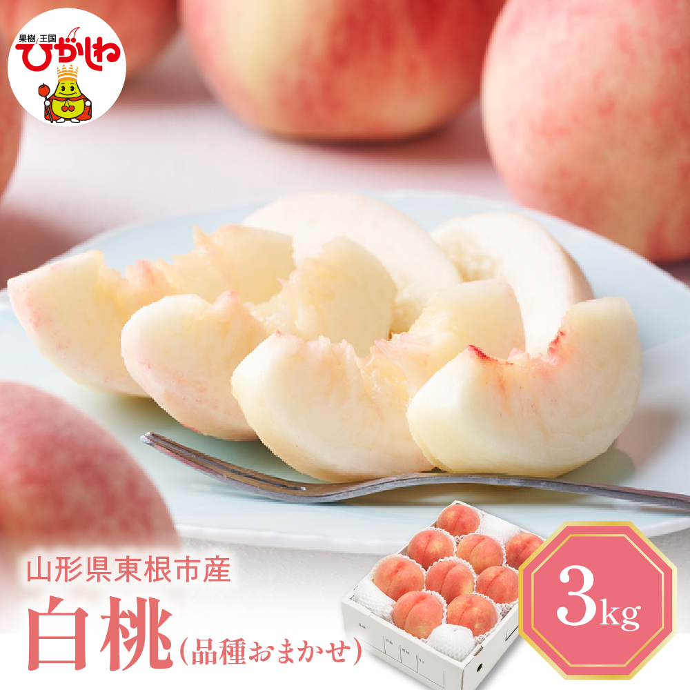 【2026年産 先行予約】 白桃 (品種おまかせ) 3kg 秀品 化粧箱入り 東根農産センター提供 山形県 東根市 hi027-258