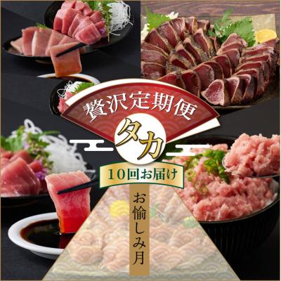 ふるさと納税 室戸市 【贅沢定期便「タカ」/全10回】タカシン水産厳選 高知の海鮮セット