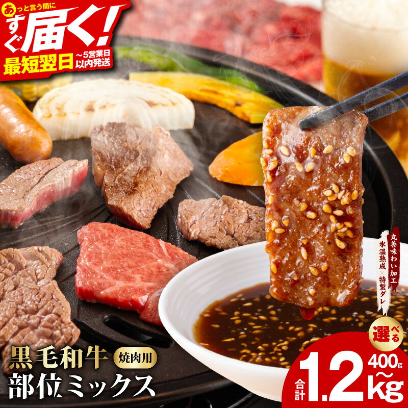 【ふるさと納税】黒毛和牛 部位ミックス 焼肉用 選べる内容量 400g 800g 1.2kg 1.6kg 氷温熟成 特製ダレ 小分け 1パック400g 牛肉 簡単調理 焼肉 BBQ バーベキュー 肉 国産 和牛 冷凍 訳あり ファミリー ホームパーティー 発送月 泉佐野市 年内発送