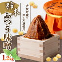 【ふるさと納税】柿木ふつう味噌　1.2kg【1259217】