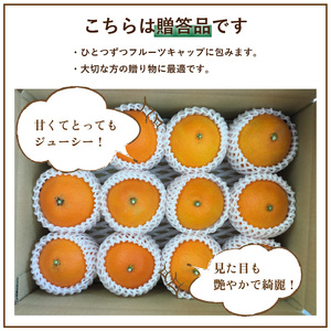 愛媛 みかん 愛果28号 贈答用 3kg あいか 【先行予約 2025年12月上旬から発送】 |  紅まどんな と同品種 柑橘 みかん まどんな 柑橘 みかん 果物  おすすめ 高級 人気 お取り寄せ