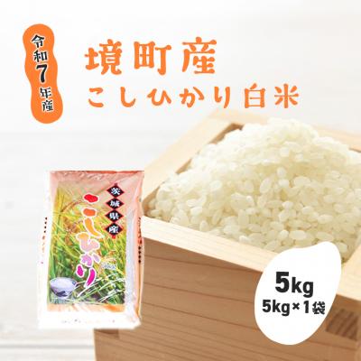 ふるさと納税 境町 【令和7年産】境町こだわり白米「コシヒカリ」 5kg(5kg×1袋)