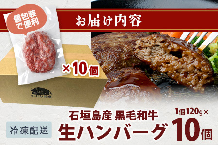 石垣島産 黒毛和牛 生ハンバーグ 120g x 10個  UN-2