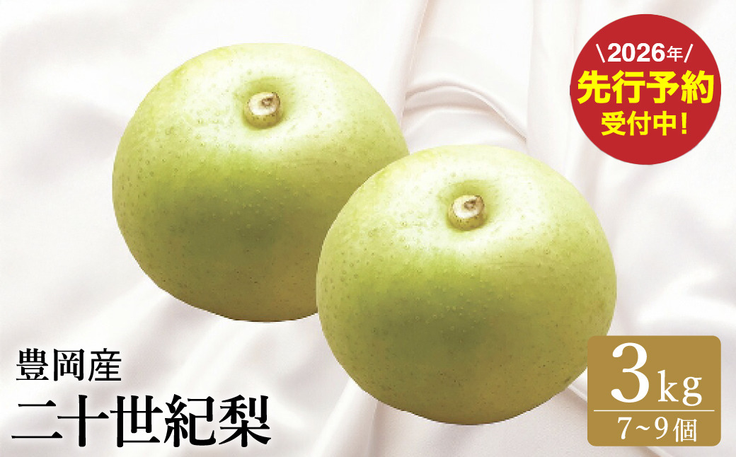 【2026年先行予約】二十世紀梨 3kg（7～9個） / 梨 産地直送 みずみずしい シャリシャリ 食感 さっぱり バランスの良い 酸味 甘味 減農薬 なし ナシ 果物 くだもの フルーツ ふくい農園