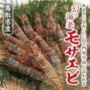 【ふるさと納税】鳥取産 冷凍モサエビ | 猛者エビ えび 海老 海鮮 塩焼き 刺身 天ぷら 煮つけ 急速冷凍 鳥取 送料無料