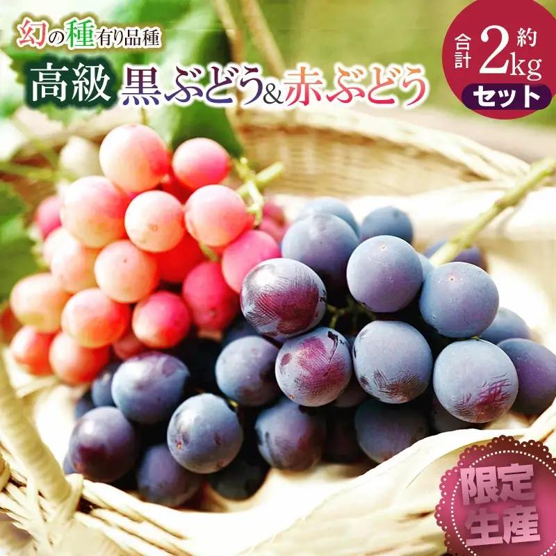 【令和8年産先行予約】【限定生産】幻の種あり品種 ぶどうの詰合せ 約2kg 季節の旬の高級黒ぶどう・赤ぶどうセット　カラフルぶどう園