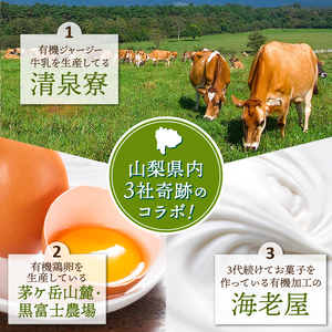 有機JAS認証ジャージーアイスクリーム　100ml×6個 アイスクリーム 有機アイスクリーム 有機JAS認証 有機ジャージー牛乳 生乳 100ml×6個 コラボ アイス 清泉寮 ジャージー牧場 茅ケ岳
