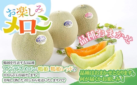 【令和6年産先行予約】お楽しみメロン３玉セット 2Lサイズ 山形県 庄内産 砂丘メロン 三昧 アンデスメロン・鶴姫メロン・鶴姫レッドメロン の中から3玉お届け 食べ比べ  JA鶴岡 A26-610