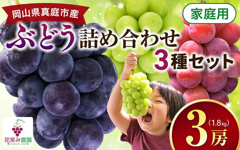 【2027年の先行予約】 岡山 花笑み農園『彩り３種セット』家庭用（1.8kg） 3M-2家 / ぶどう 詰め合わせ 食べ比べ シャインマスカット 岡山 真庭市 【hana085-02】