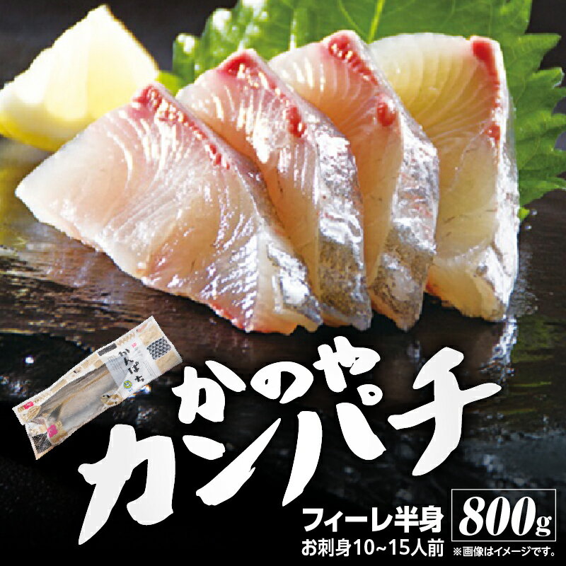【ふるさと納税】かのやカンパチフィーレ 800g 鹿児島県産 国産 かんぱち カンパチ 海産物 魚介 刺身 カルパッチョ ブランド 出世魚 勘八【鹿屋市漁業協同組合】