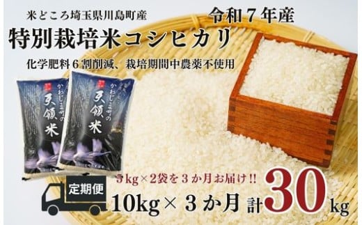 定期便3か月【令和7年度産　特別栽培米】埼玉県かわじま町　天領米（コシヒカリ） 5kg×２袋　計30kg
